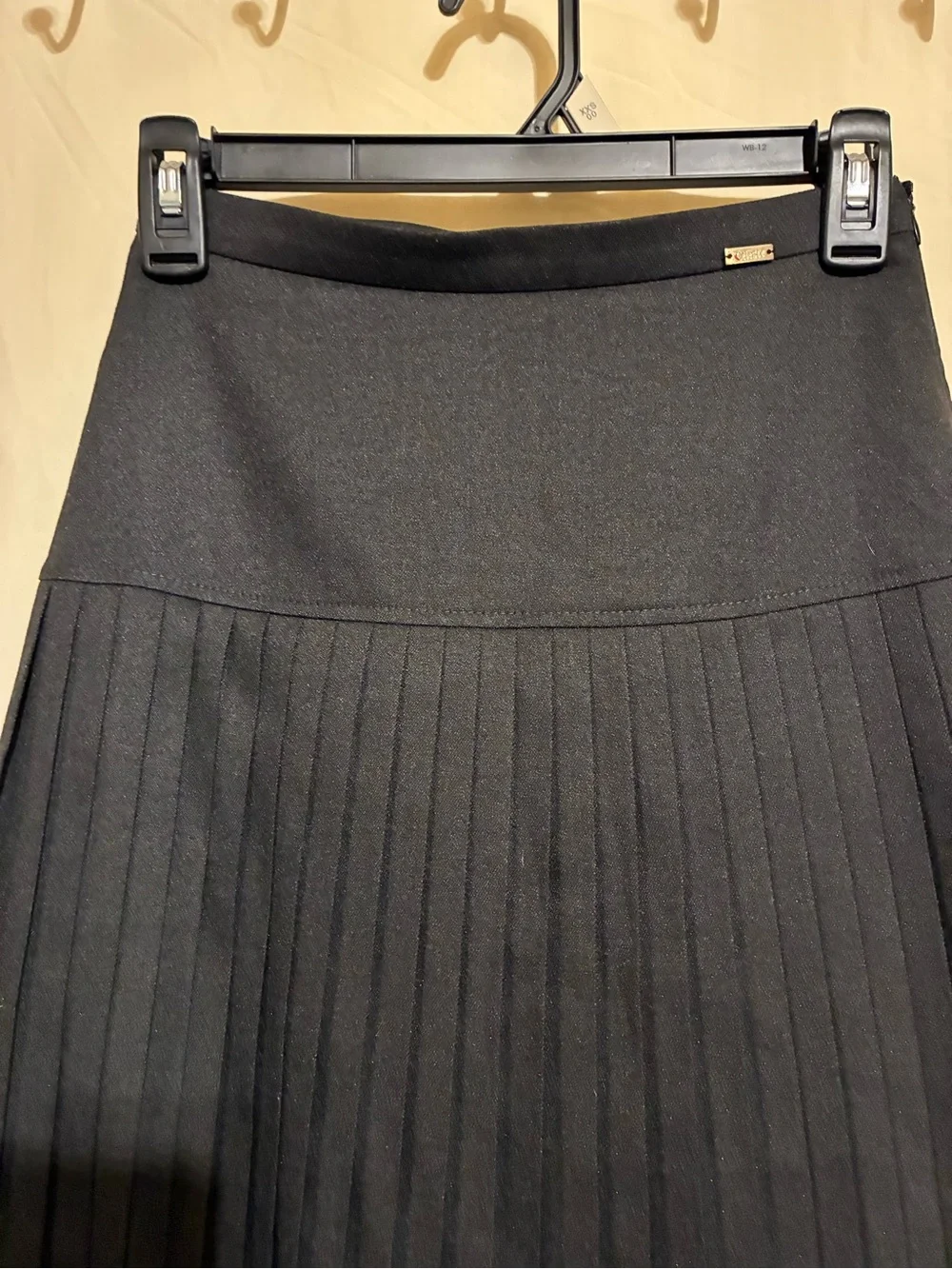 Celeste Collection Pleated Maxi Skirt